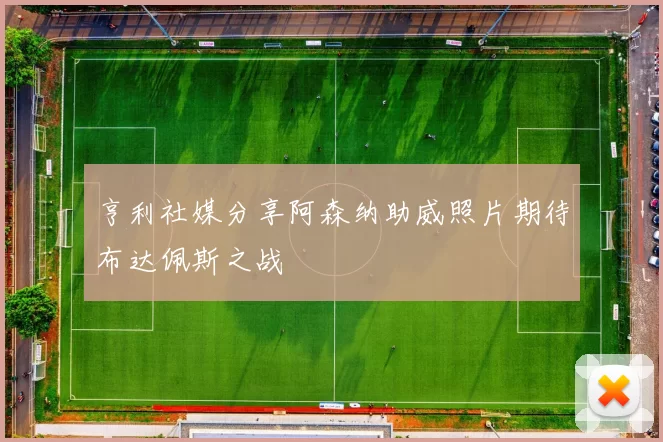 亨利社媒分享阿森纳助威照片期待布达佩斯之战